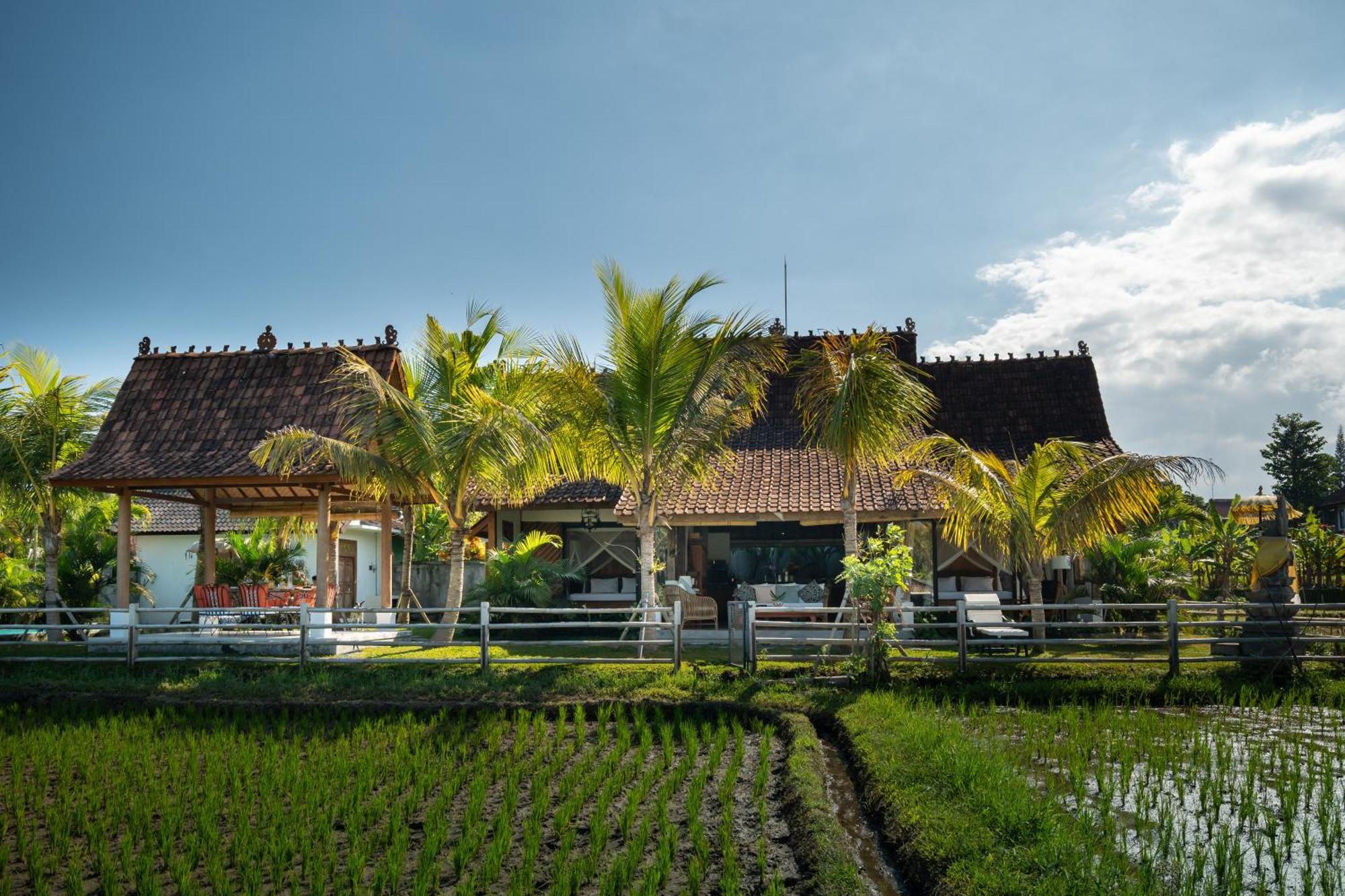 Villa Kelapa Di Sawah By Travellink Bali